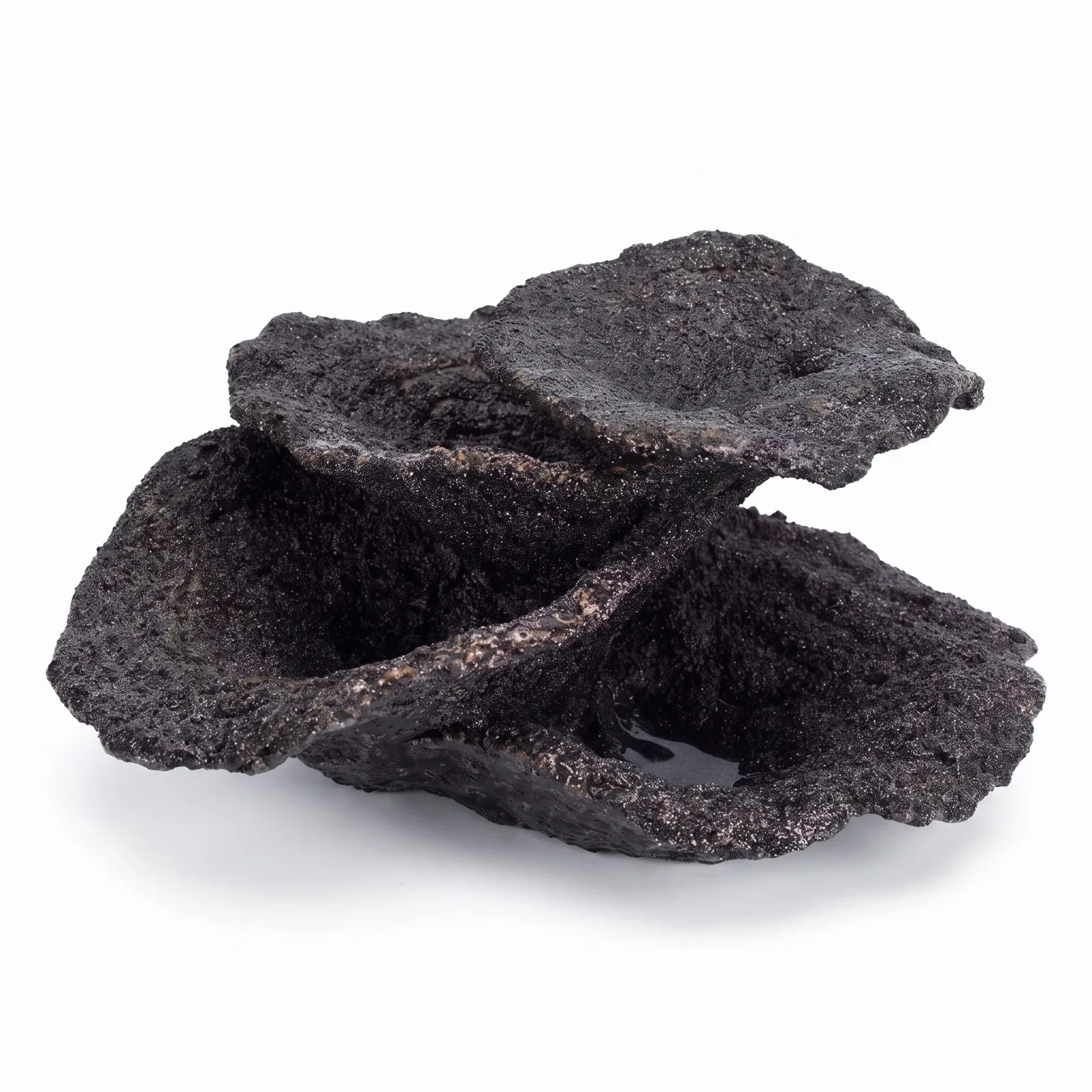 (SMALL) Mini Real Reef Turbinaria Cup MIDNIGHT BLACK Plate Coral Rock (1 piece) - Real Reef