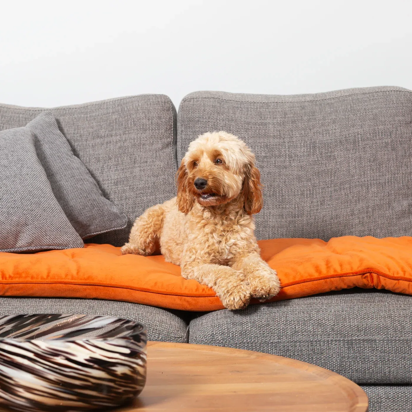 Sofa Topper in Pumpkin Velvet by Lords & Labradors - Image 2