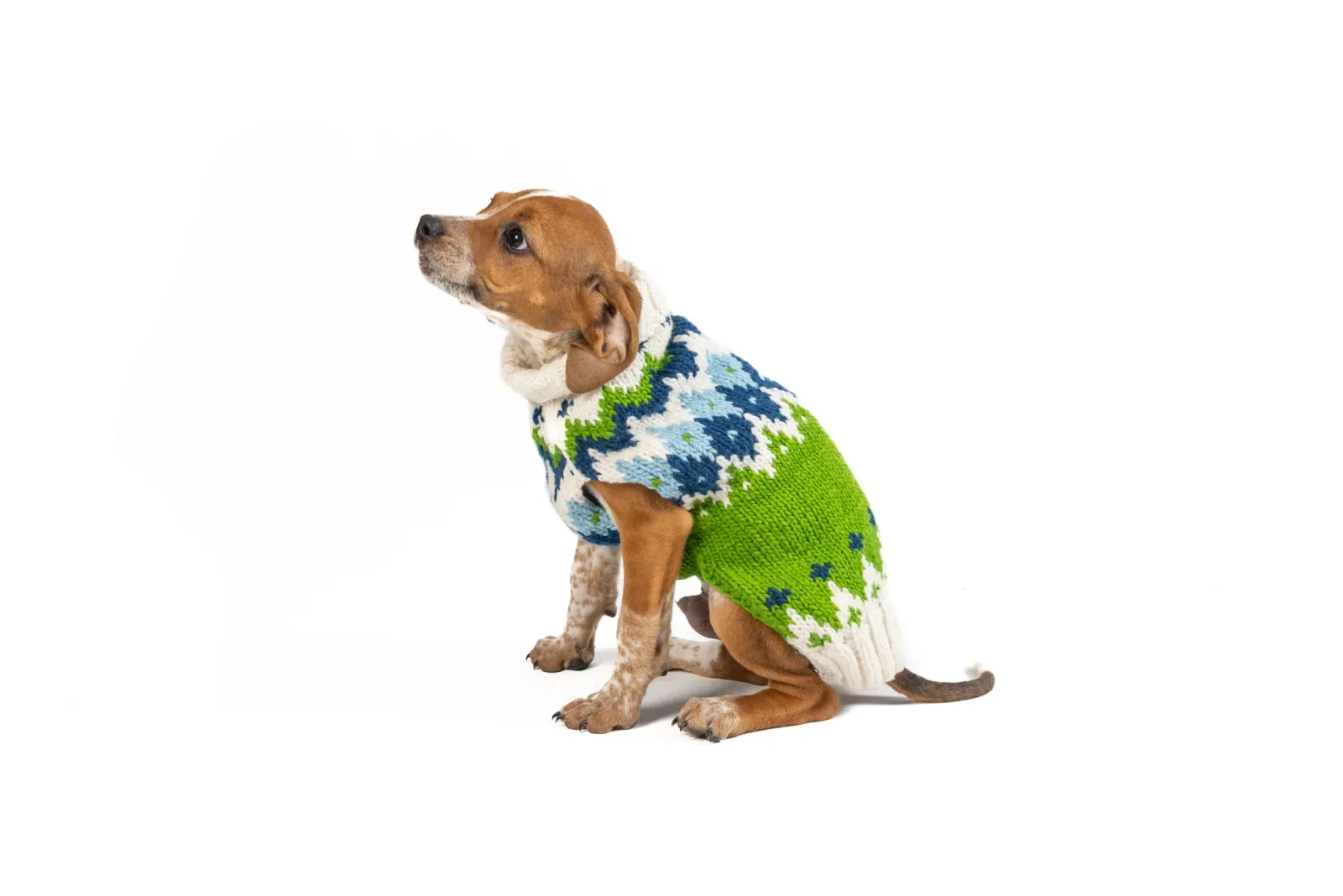 Spring Ski Bum Dog Sweater - Image 2