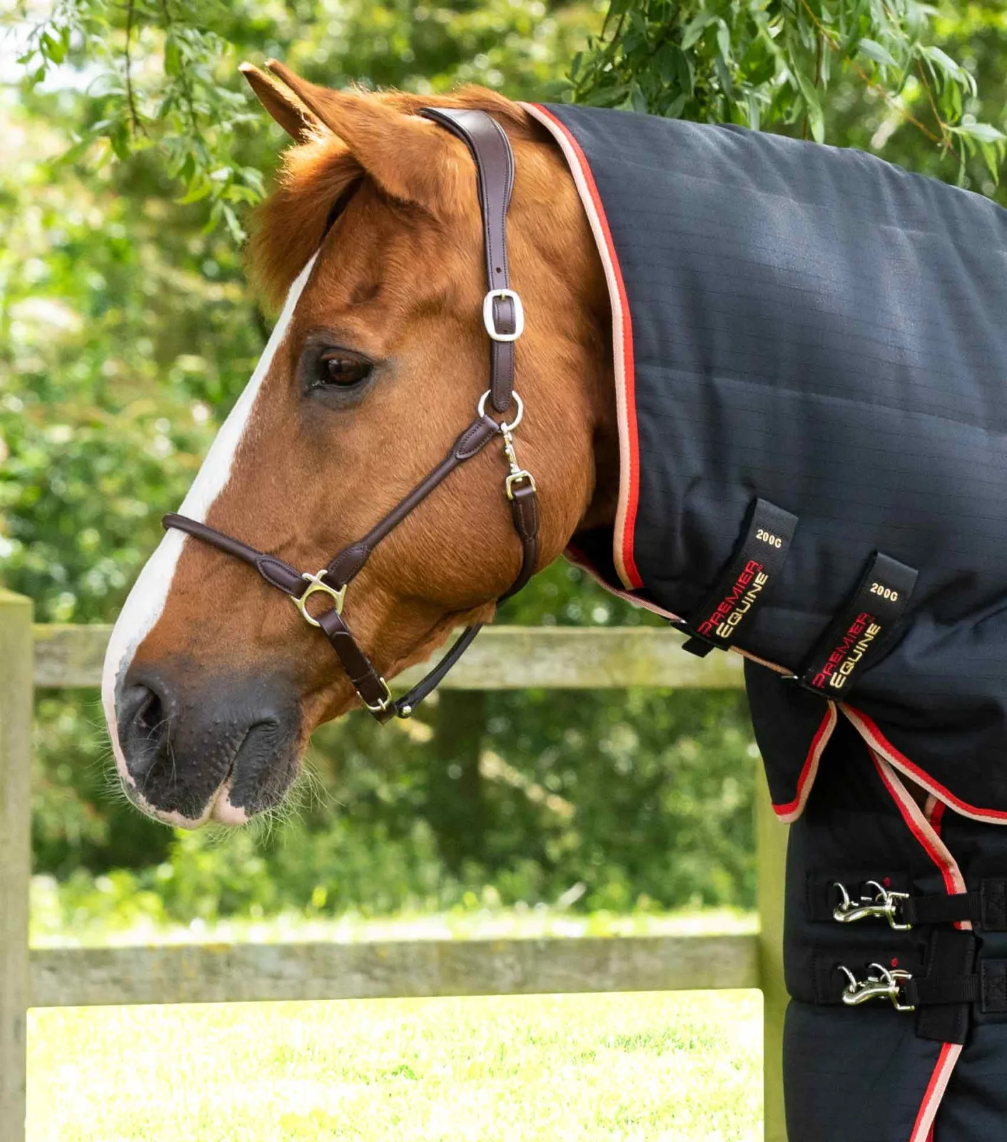 Stable Buster 200g Stable Rug with Neck Cover Black - Image 2
