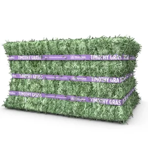 Standlee Premium Products Timothy Compressed Bale