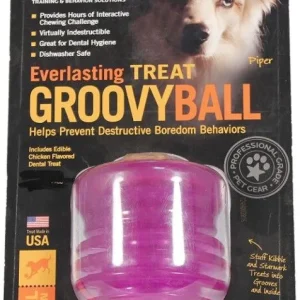 Starmark Everlasting Treat Groovy Ball Medium