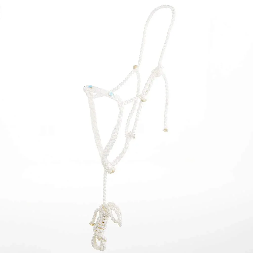 Steadfast Silver Designs Jarett Freeman/ Mule Tape Halter with Genuine Turquoise Stones