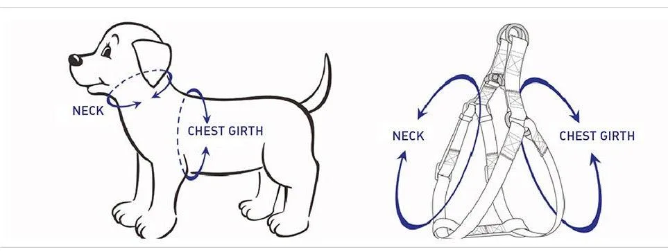 Step-in Dog Harness, Orange - Image 2