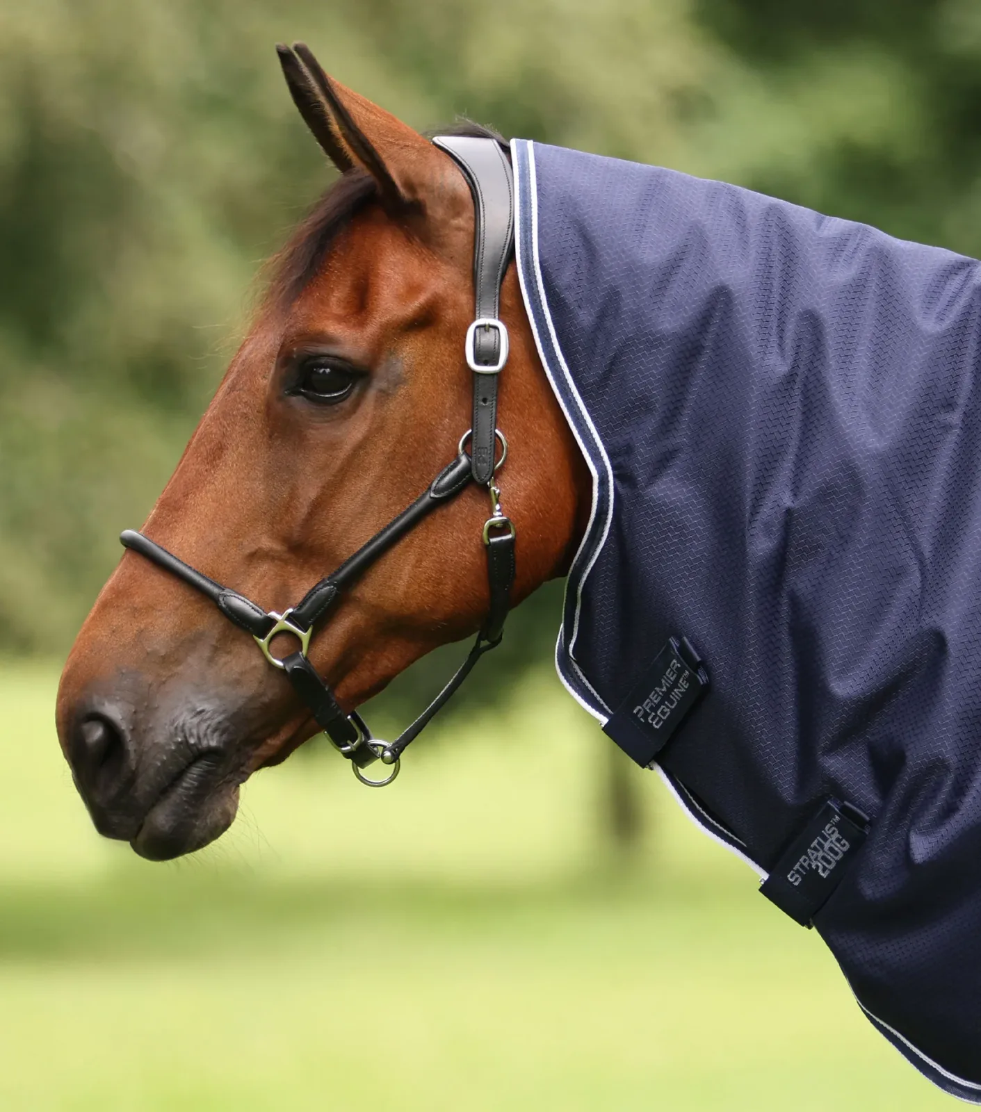 Stratus 600D Series 200g Turnout Rug with Classic Neck Cover Navy - Image 2