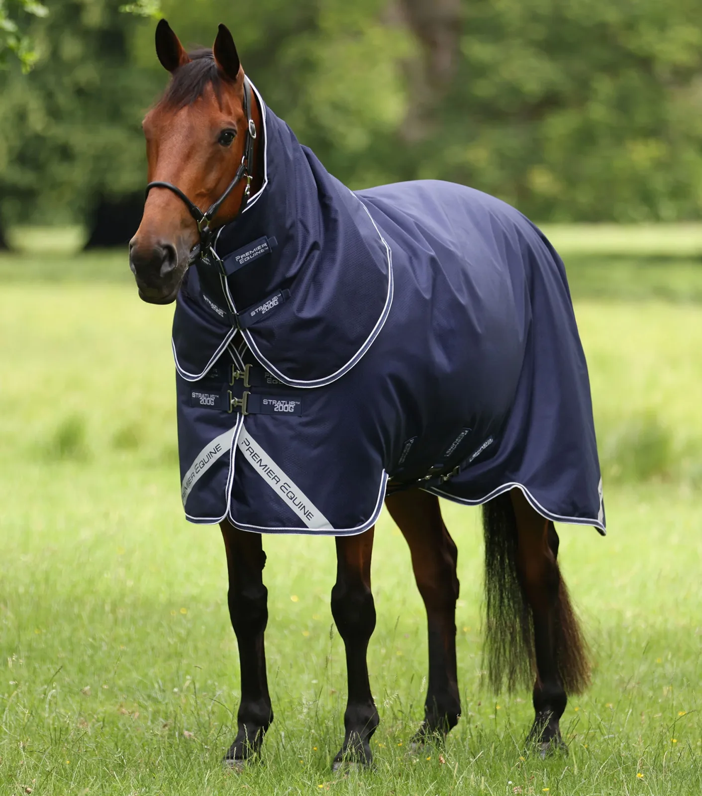 Stratus 600D Series 200g Turnout Rug with Classic Neck Cover Navy