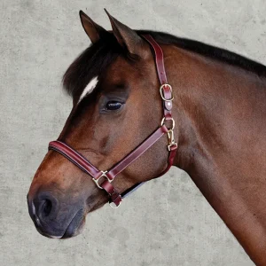 Suffolk™ Ergonomic Halter