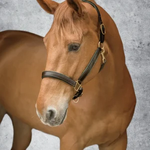 Suffolk™ Lined Halter