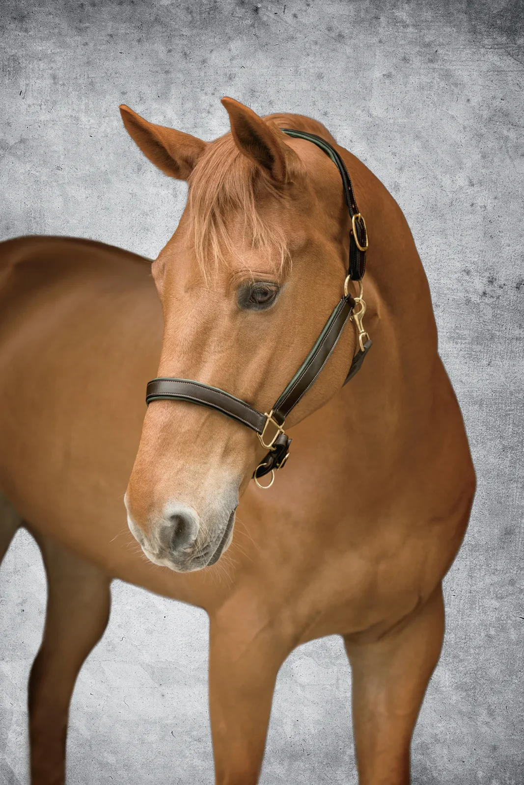 Suffolk™ Lined Halter