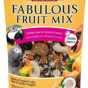 Sunseed Fabulous Fruit Mix Fortified Treat for Parrots and Conures