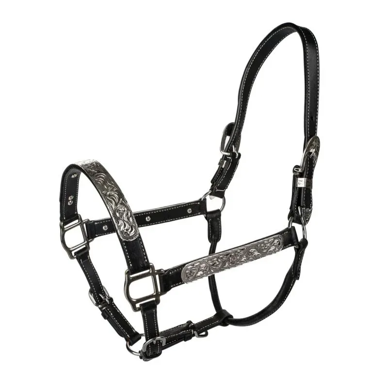 Tabelo Leather Halter with Silver - Image 2