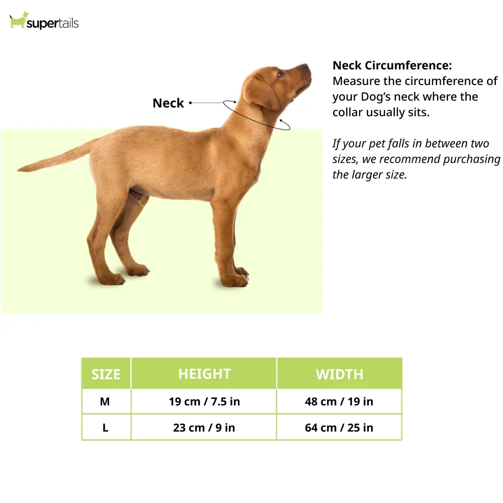 Talking Dog Club On Duty Bandana for Dogs and Cats (Brown) - Image 2