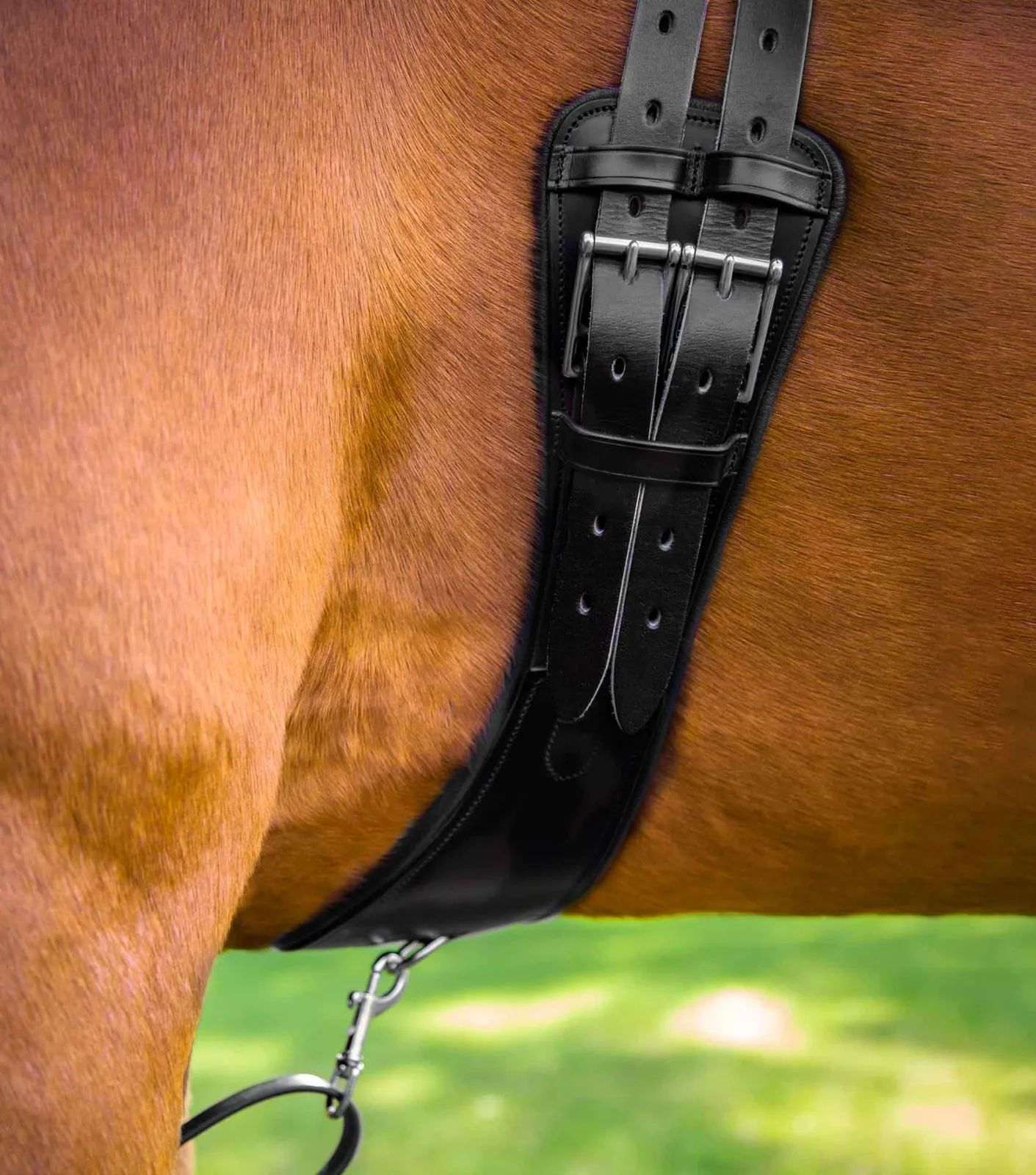 Tamarro Anatomic Leather Girth - Image 2