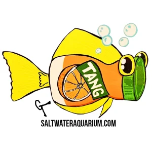 "TANG" SaltwaterAquarium.com Sticker (FREE OVER $50) - SAQ.com