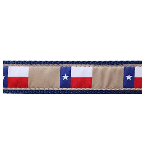 Texas Flag