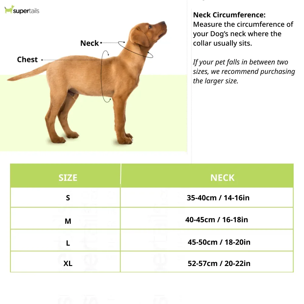 The Happy Lots Samoria Costume for Dogs - Image 2