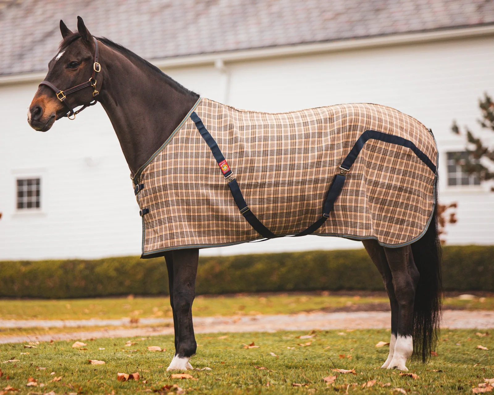 The Original Baker® Stable Blanket