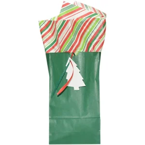 The Sample House Green Gift Bag w/Multi Color Tissue Paper