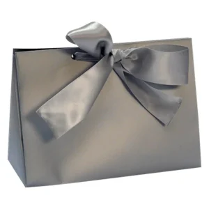 The Sample House Silver Purse Gift Box