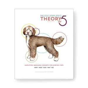 Theory of Five Book Second Edition by Melissa Verplank