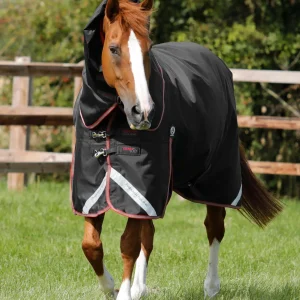 Titan 100g Turnout Rug with Snug-Fit Neck Cover Black