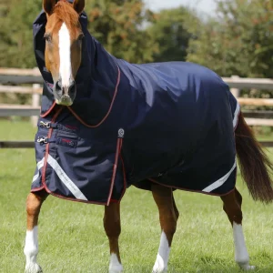 Titan 100g Turnout Rug with Snug-Fit Neck Cover Navy