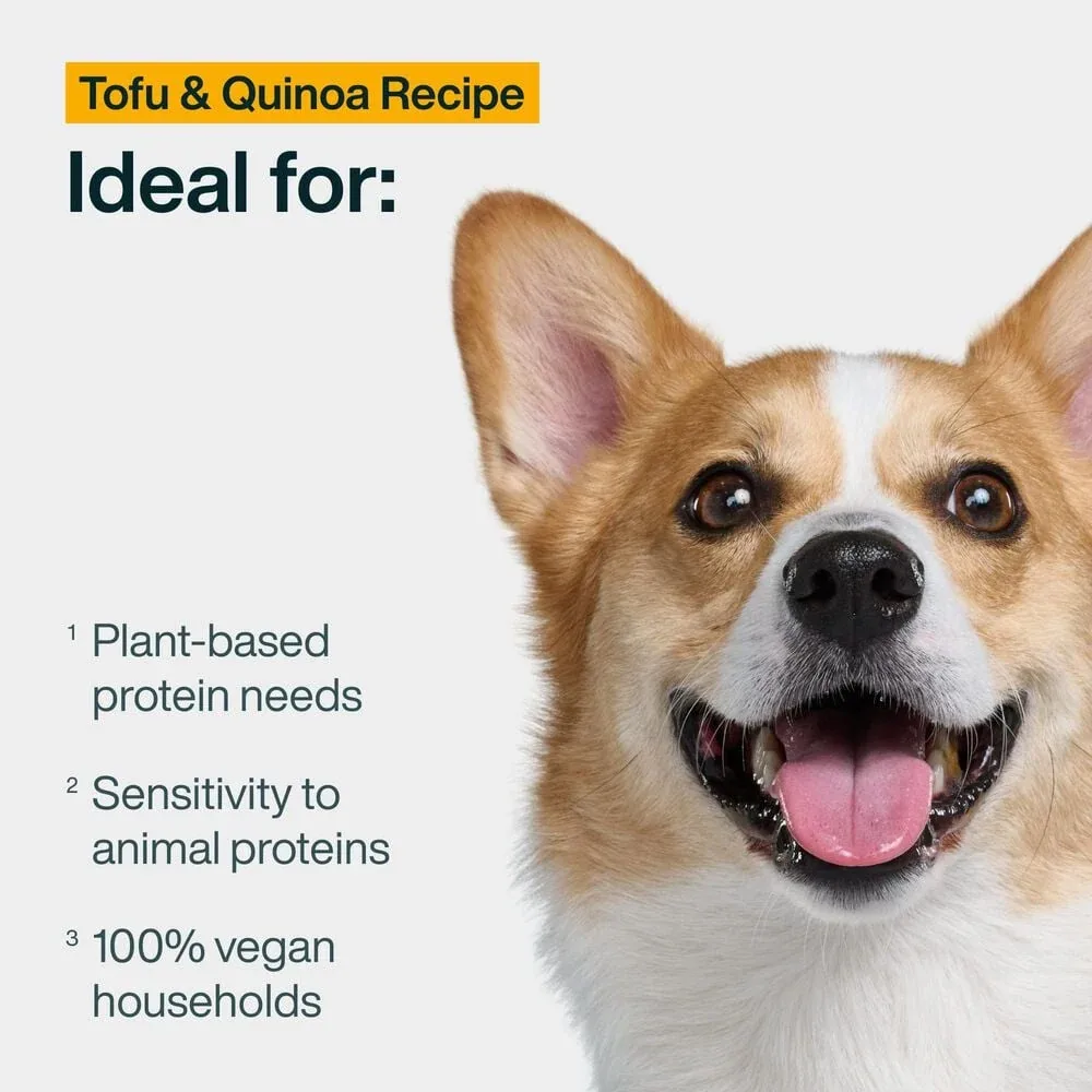 Tofu & Quinoa - Image 2