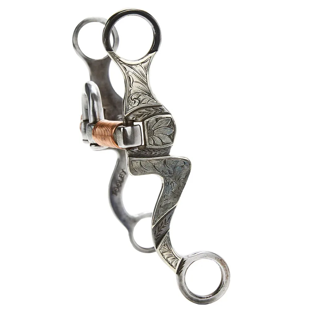 Tooley Bits Spurs Buckles Correction with Copper Square Mouth Bit - Image 2