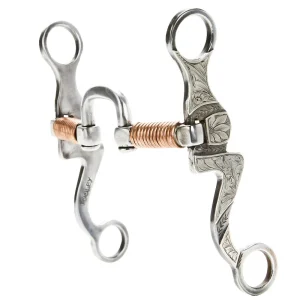 Tooley Bits Spurs Buckles Correction with Copper Square Mouth Bit