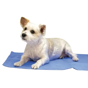 Top Performance Drying and Cooling Towel