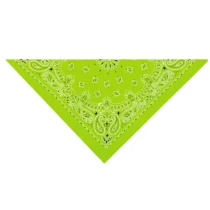 Top Performance Paisley Bandana Light Green
