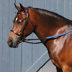 Tory Leather Company Padded English Bridle