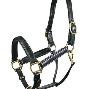 Tory Leather Company Padded Leather Halter