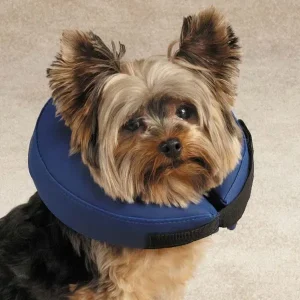 Total Pet Health Inflatable Collar L Blue