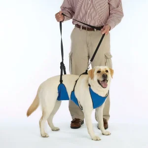 Total Pet Health Lift & Lead 4 in 1
