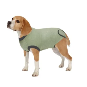 Total Pet Health Recovery Suit L