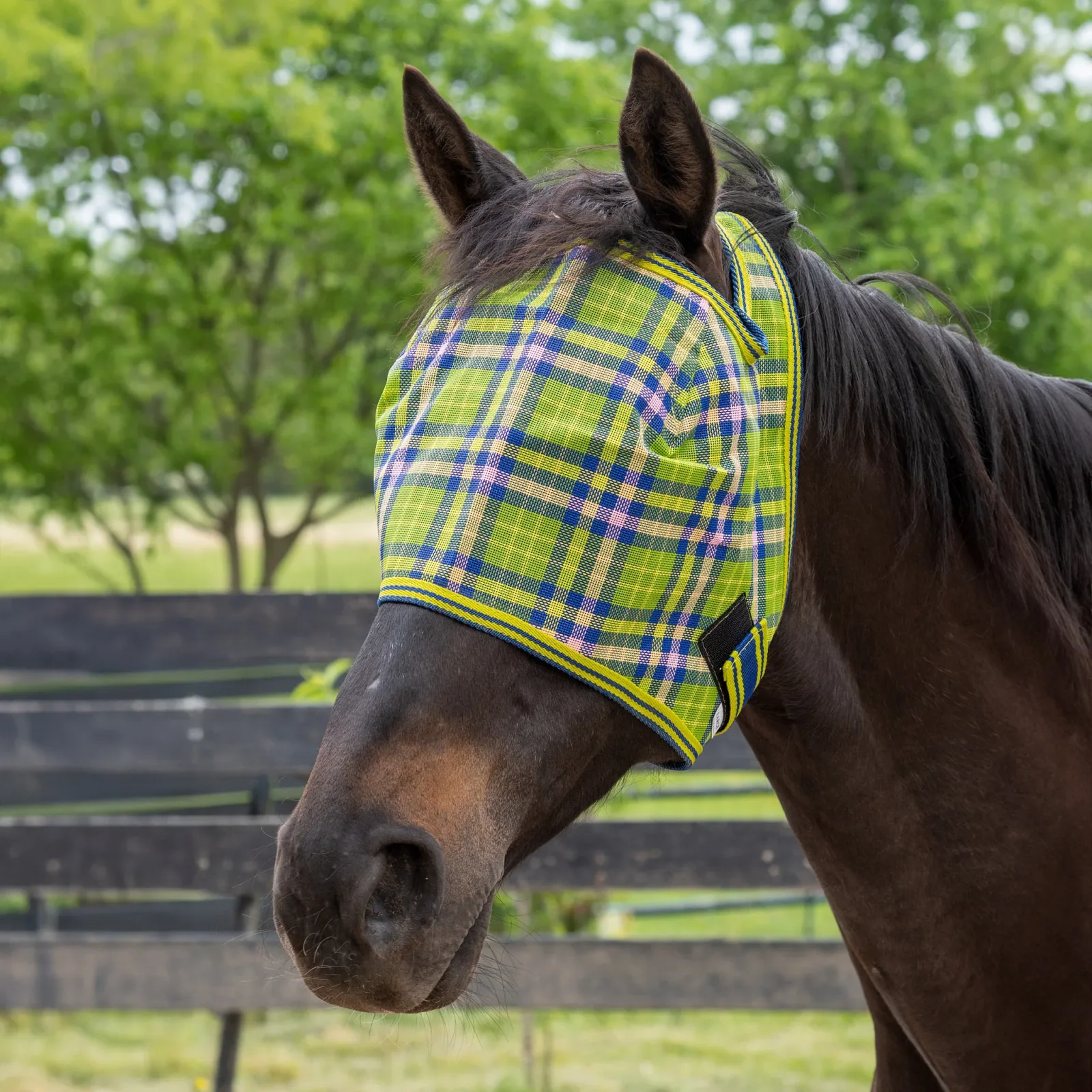 Tough 1 Plaid Mesh Fly Mask - Image 2
