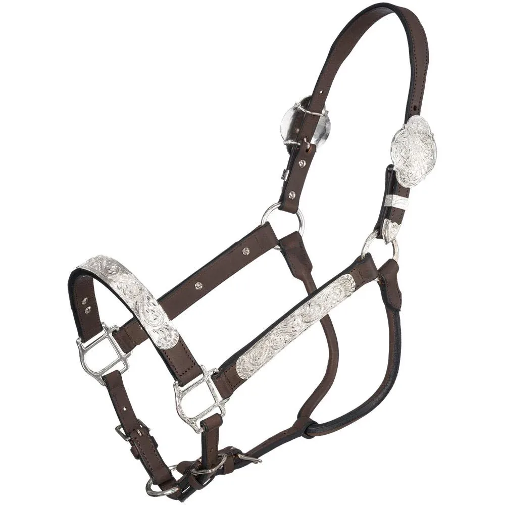 Tough 1 Silver Royal Berry Edge Scroll Dark Oil Show Halter