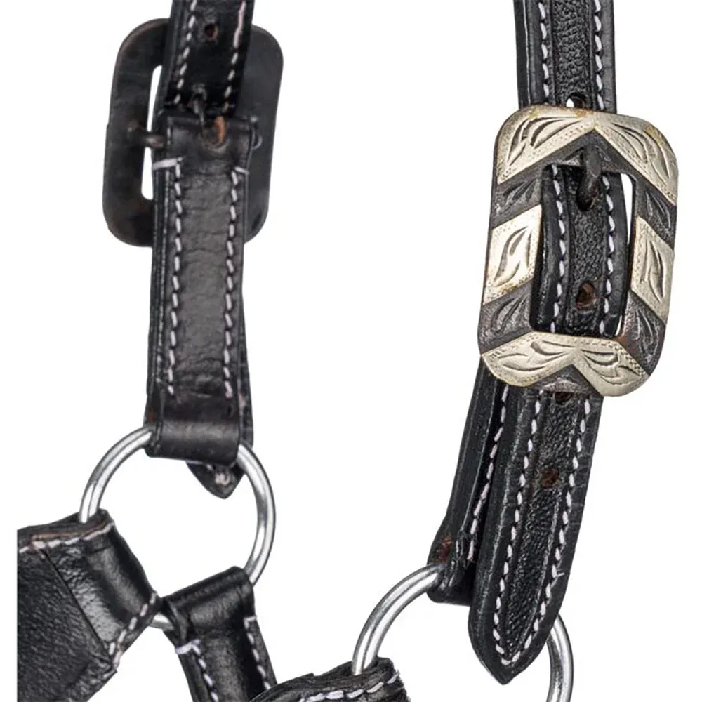 Tough 1 Two-Tone Stampede Lariat Nose Halter - Image 2