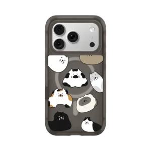 travelpaint.cat travelpaint.cat funny cats AirX