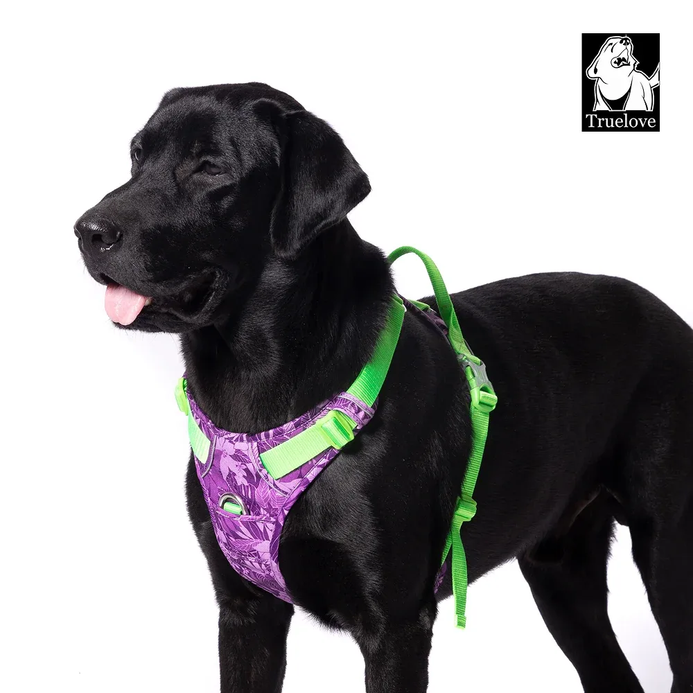 Truelove No Pull Special Edition Harness for Dogs (Camouflage Purple)