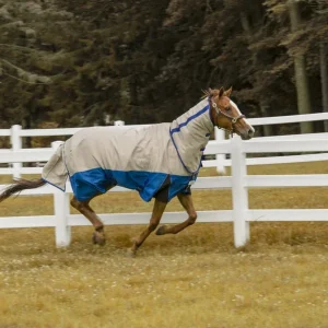 Tuffrider Bonum 1200D Ripstop Medium Weight Turnout Blanket With Combo Neck- 220 gms