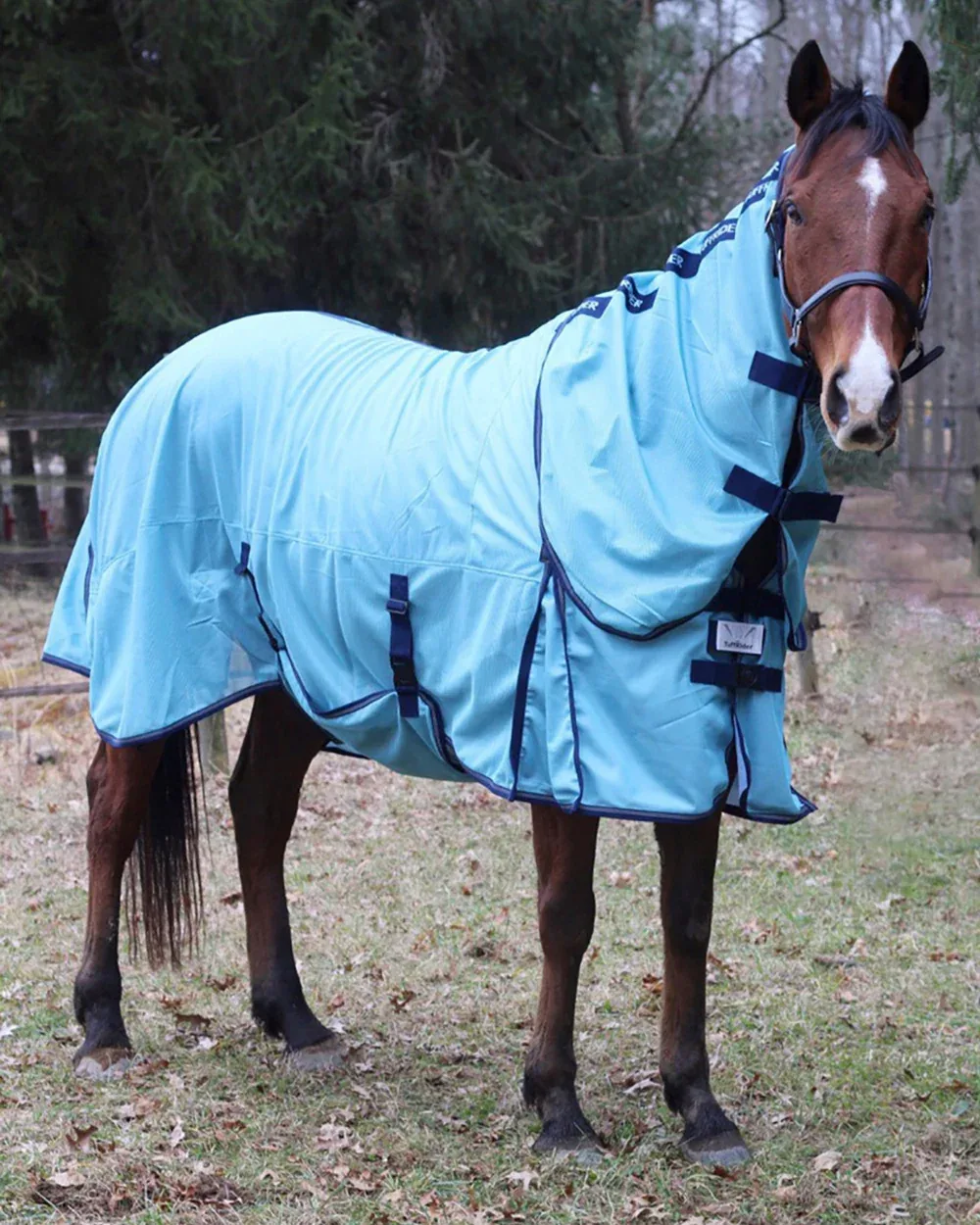 TuffRider® Power Mesh Detachable Neck Fly Sheet - Image 2