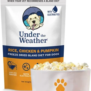 Under the Weather Chicken & Rice with Pumpkin Freeze-Dried Dog Food - 6 oz