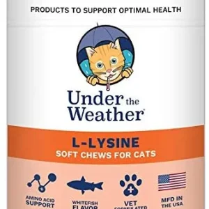 Under the Weather L-Lysine Chewy Cat Supplements - 60 Count