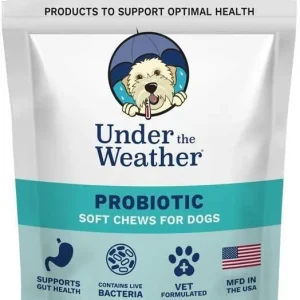 Under the Weather Probiotic Chewy Dog Supplements - 60 Count