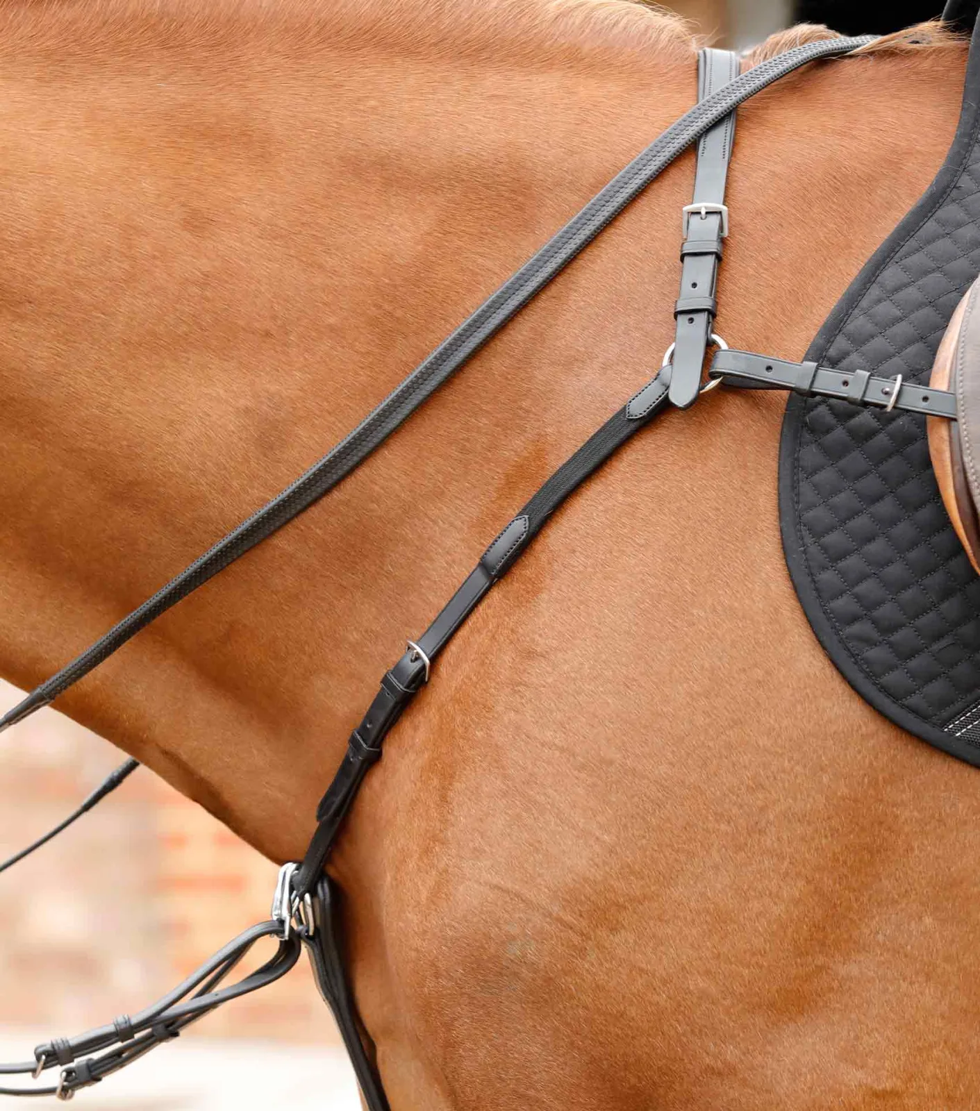 Valbrona Performance Breastplate Black - Image 2