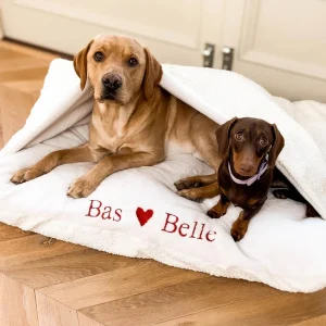 Valentines Edition Sleepy Burrows Bed With Removable Cover by Lords & Labradors
