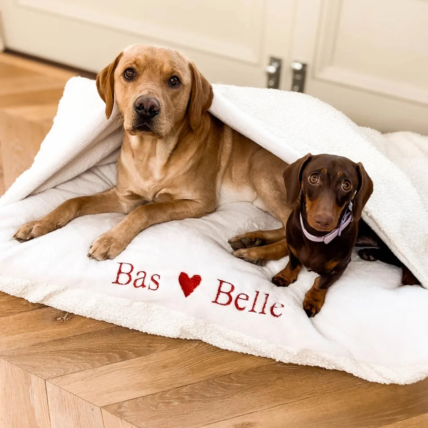 Valentines Edition Sleepy Burrows Bed With Removable Cover by Lords & Labradors