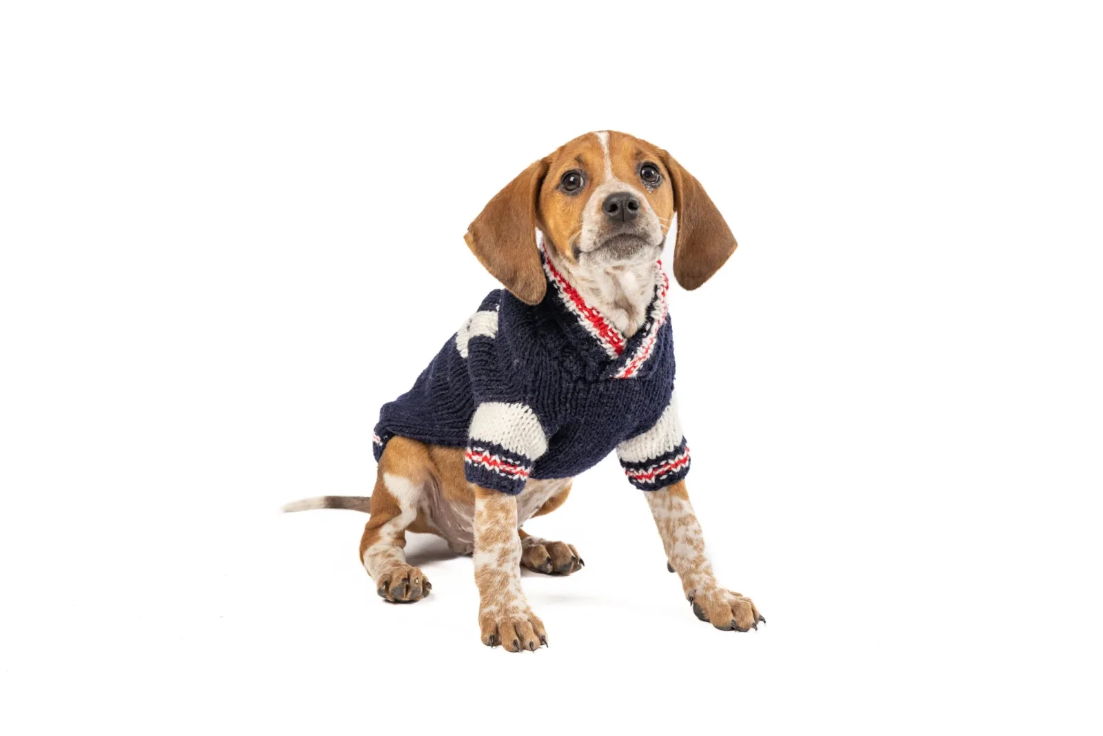 Varsity Dog Sweater - Image 2